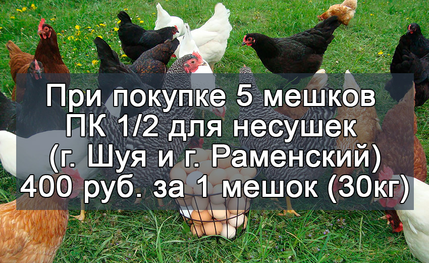 акции