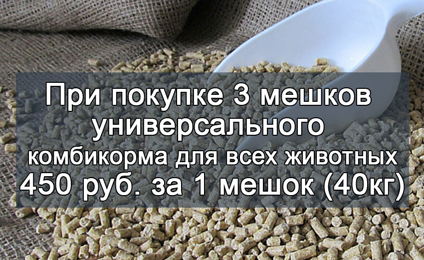 акции