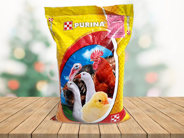 Несушка