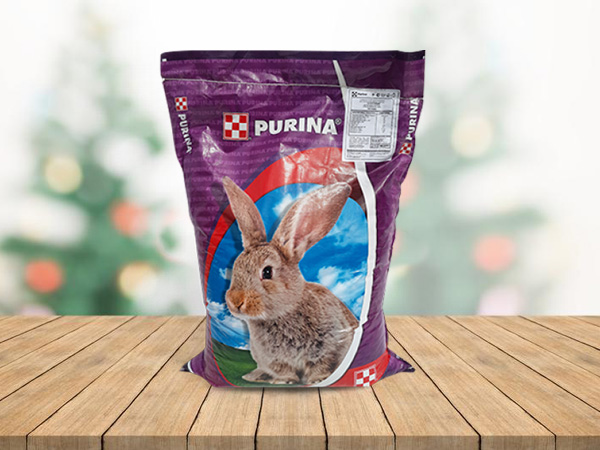 Кролик